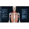 3D Organon Anatomy for Students