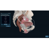 3D Organon Anatomy for Students