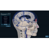 3D Organon Anatomy for Students