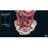 3D Organon Anatomy for Students