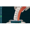 3D Organon Anatomy for Students