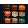 3D Organon Anatomy for Professionals