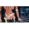 3D Organon VR Anatomy for your Standalone VR headset | Premium