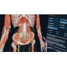 3D Organon VR Anatomy for your Standalone VR headset | Standard