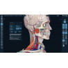 3D Organon for Professionals
