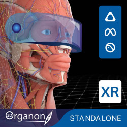 3D Organon XR| Estándar