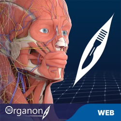 3D Organon VR Anatomy for your Standalone VR headset | Standard
