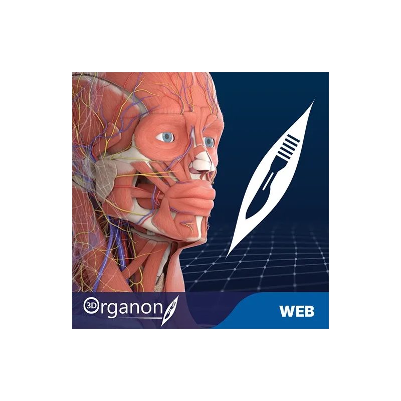 3D Organon VR Anatomy for your Standalone VR headset | Standard