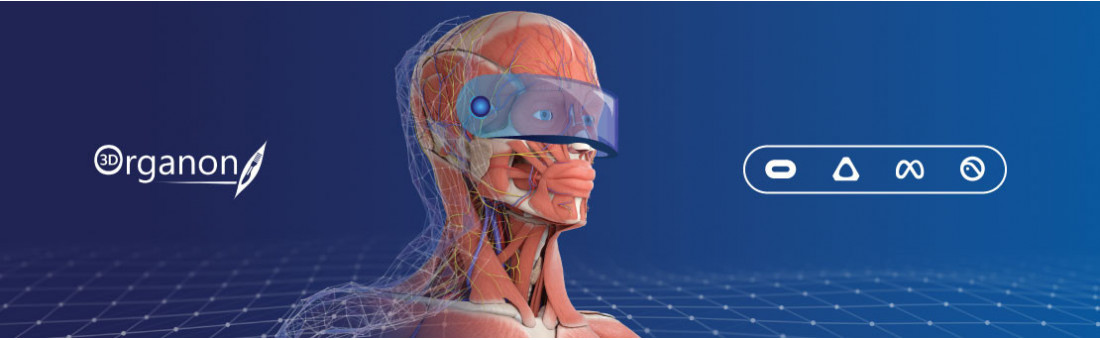 3D Organon XR